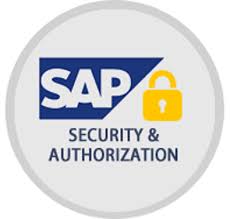 What Is SAP Security